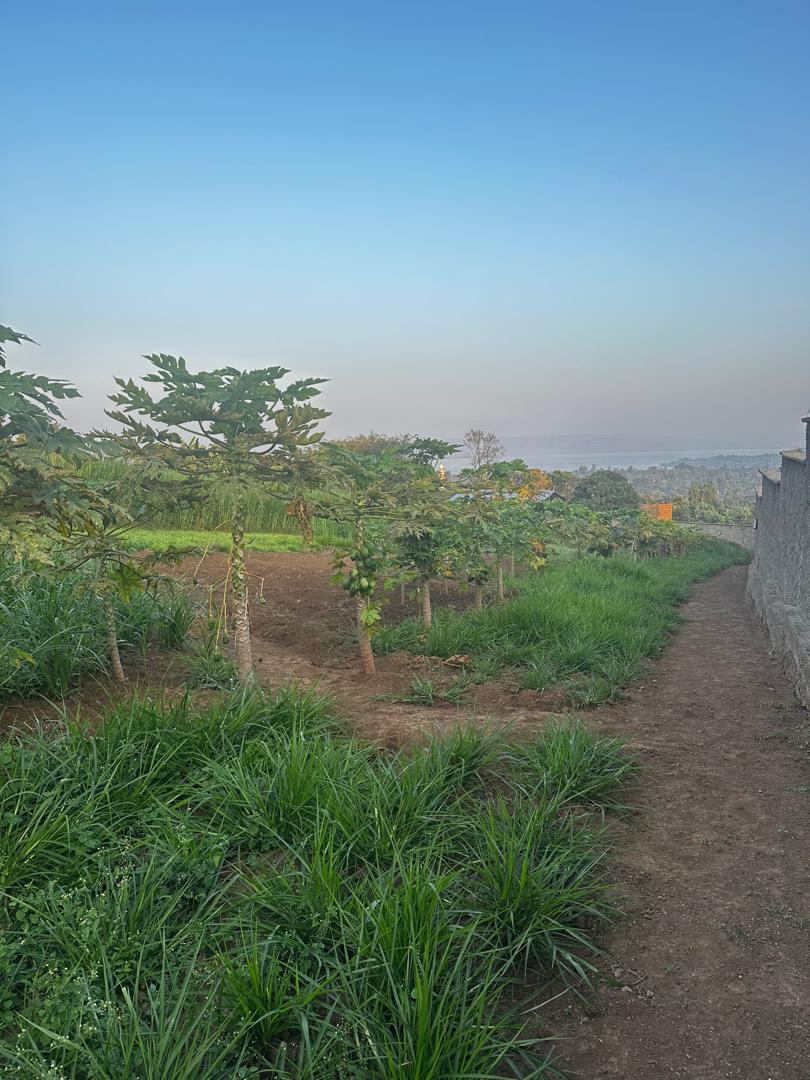 Farm view overlooking Lake Hawassa