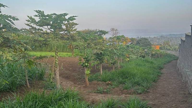 Sunset overlooking Lake Hawassa from Abiko farm.
